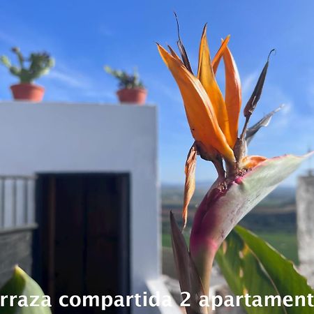 Casa Abades Arcos De La Frontera Apartment Екстериор снимка