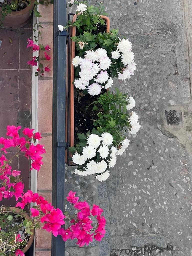Casa Abades Arcos De La Frontera Apartment Екстериор снимка